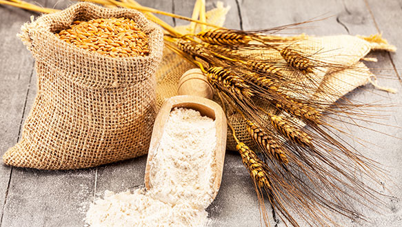 فروشنده آرد جو