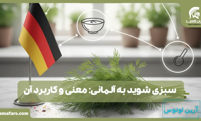 سبزی شوید به آلمانی