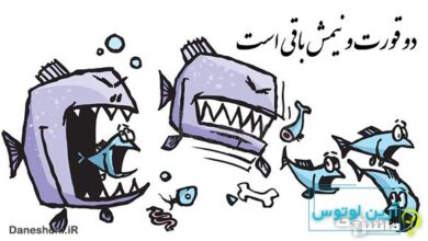 معنی دو قورت و نیمش باقی است