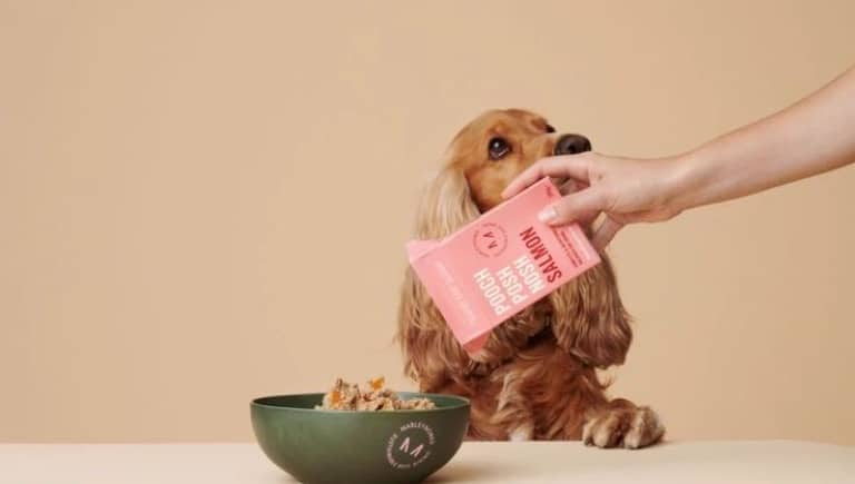 هزینه سگ داشتن