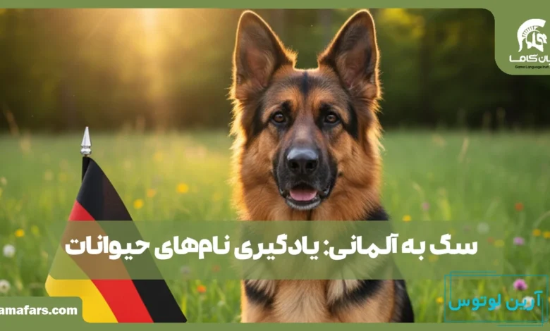 سگ به آلمانی