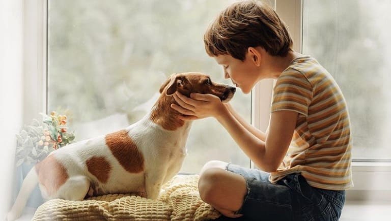 تربیت و فرمان پذیری سگ