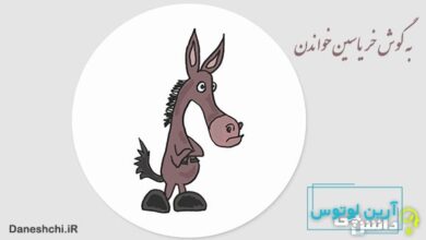 به گوش خر یاسین خواندن