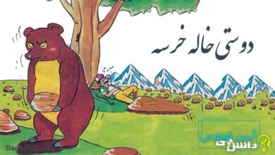 معنی دوستی خاله خرسه