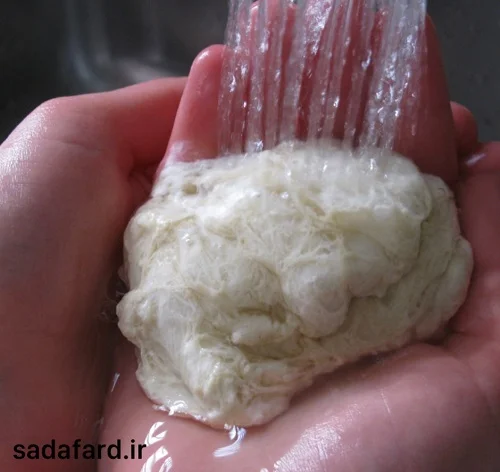 تست خمیر و شست و شو در تست گلوتن آرد