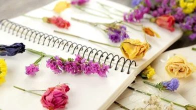 روش خشك كردن گل طبيعي