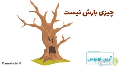 معنی چیزی بارش نیست