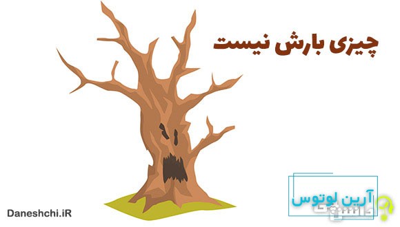 معنی چیزی بارش نیست