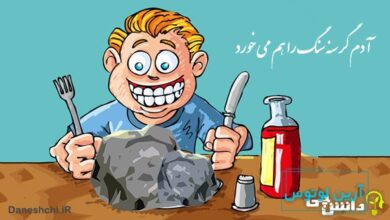 آدم گرسنه سنگ را هم می خورد