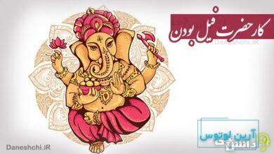 کار حضرت فیل بودن