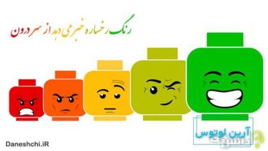 معنی رنگ رخساره خبر میدهد از سر درون