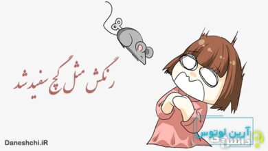 معنی رنگش مثل گچ سفید شد