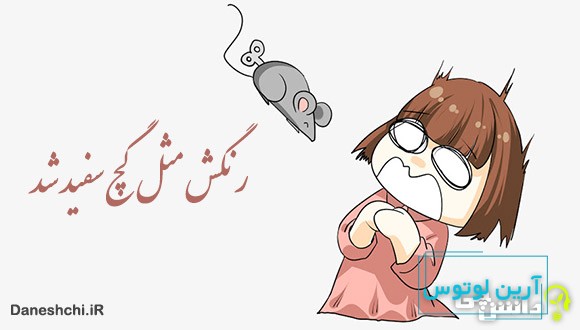 معنی رنگش مثل گچ سفید شد