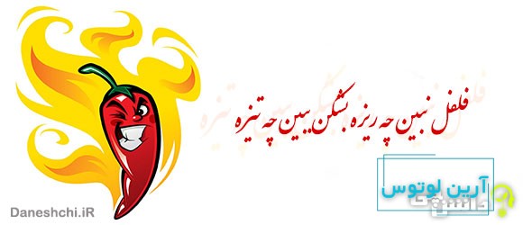 فلفل نبین چه ریزه بشکن ببین چه تیزه 