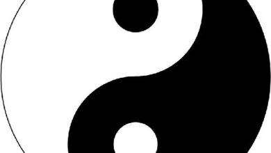 فنگ شویی لوگو