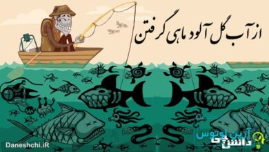از آب گل آلود ماهی گرفتن
