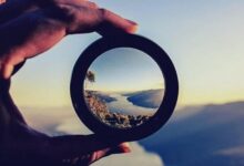 لیست پرطرفدار ترین رشته های آموزش 2021 منتشر شد