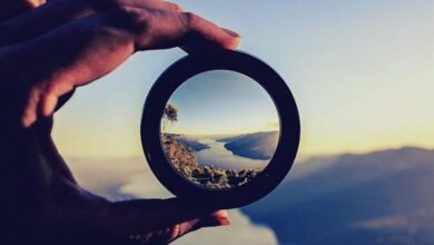 لیست پرطرفدار ترین رشته های آموزش 2021 منتشر شد