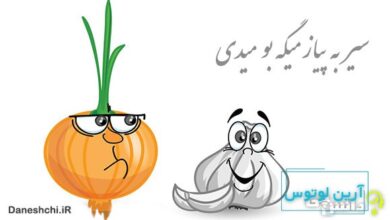 معنی ضرب المثل سیر به پیاز میگه بو میدی