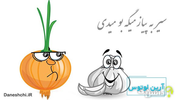 معنی ضرب المثل سیر به پیاز میگه بو میدی