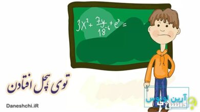 ضرب المثل توی هچل افتادن