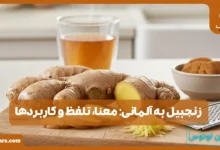 زنجبیل به آلمانی