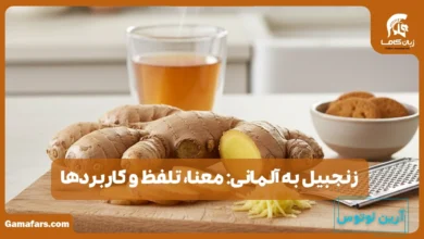 زنجبیل به آلمانی