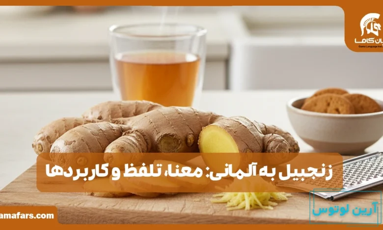 زنجبیل به آلمانی