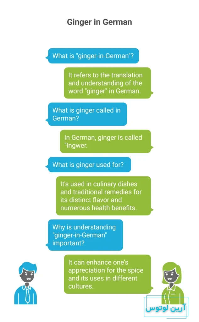زنجبیل به آلمانی