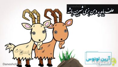 علف باید به دهن بزی شیرین باشه