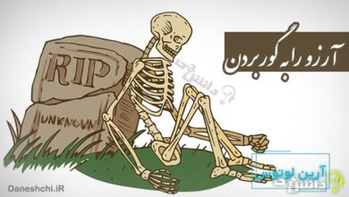 ضرب المثل آرزو را به گور بردن