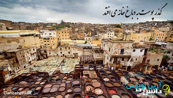 گذر پوست به دباغ خانه می افتد