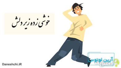 ضرب المثل خوشی زیر دلش زده