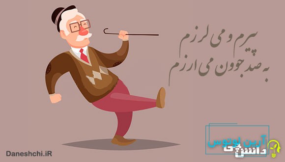 معنی پیرم و می‌لرزم، به صد جوون می‌ارزم
