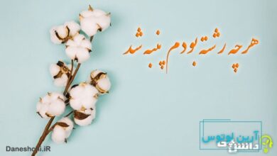 ضرب المثل هرچه رشته بودم پنبه شد