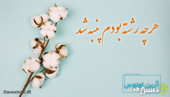 ضرب المثل هرچه رشته بودم پنبه شد