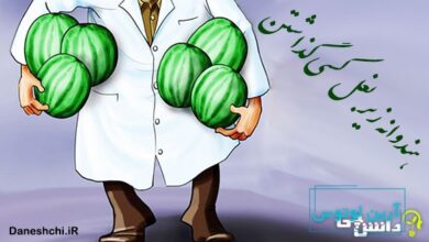 هندوانه زیر بغل کسی گذاشتن