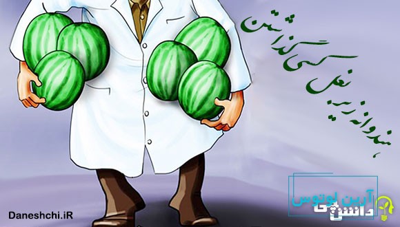 هندوانه زیر بغل کسی گذاشتن