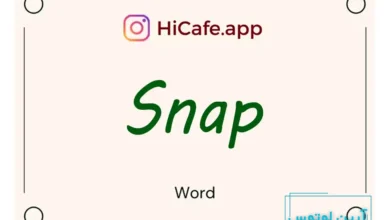 Meaning and usage of snap word