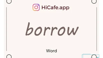 Meaning and usage of borrow word
