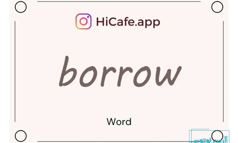 Meaning and usage of borrow word
