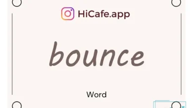 Meaning and usage of bounce word