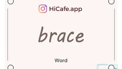 Meaning and usage of brace word