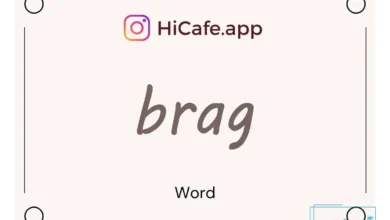 Meaning and usage of brag word