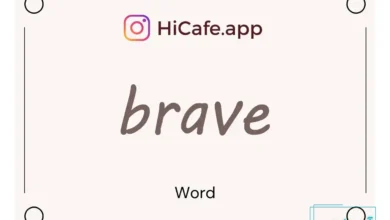 Meaning and usage of brave word