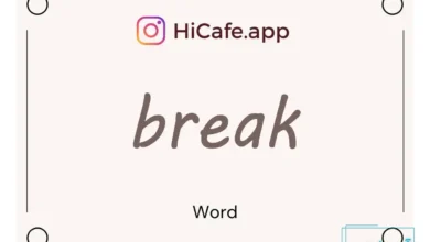 Meaning and usage of break word