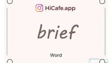 Meaning and usage of brief word