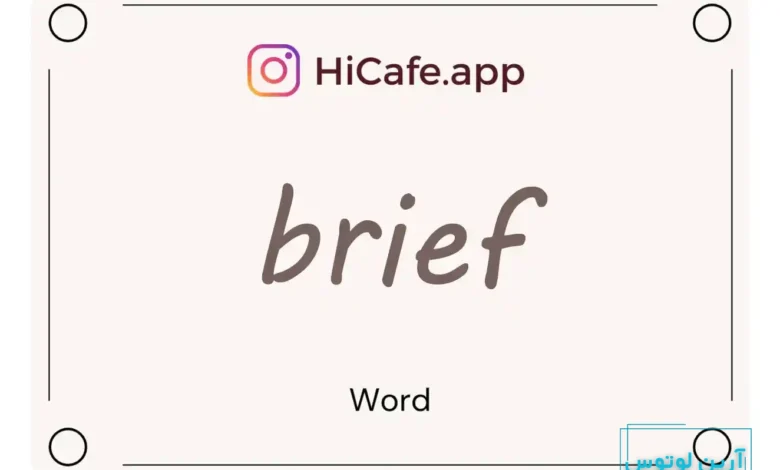 Meaning and usage of brief word