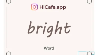 Meaning and usage of bright word