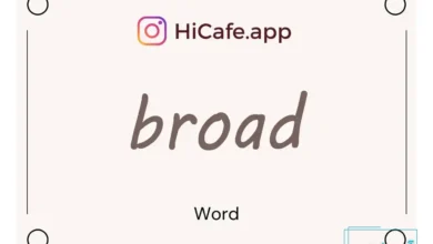 Meaning and usage of broad word